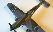 Focke-Wulf Fw 190D-11 1:48