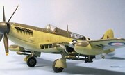 Fairey Firefly FR Mk.5 1:48