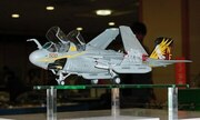 Grumman EA-6B Prowler 1:48