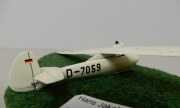 DFS Rhönbussard 1:72