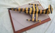 Lockheed F-104G Starfighter 1:72