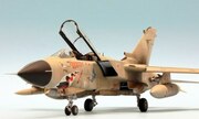 Panavia Tornado GR.1 MiG Eater 1:48