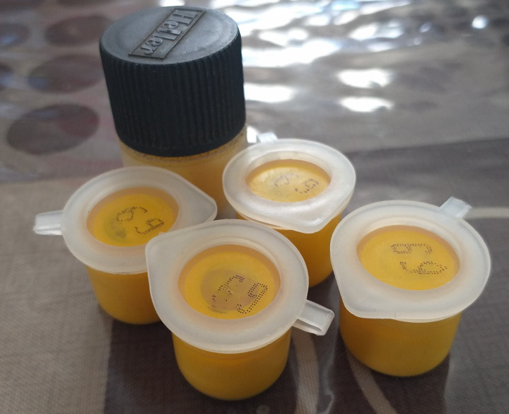 Boxart Jaune brilliant (Gloss Yellow) 9069 Heller Acrylic Boxart Jaune brilliant (Gloss Yellow) 9069 Heller Acrylic
