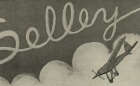 Selley Logo Selley Logo