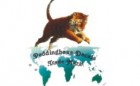 Peddinghaus-Decals Logo Peddinghaus-Decals Logo