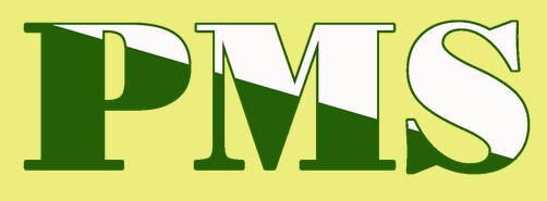 PMC Riesa 96 e.V.