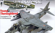 (Model Airplane International 41)