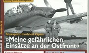 (Flugzeug Classic 2)