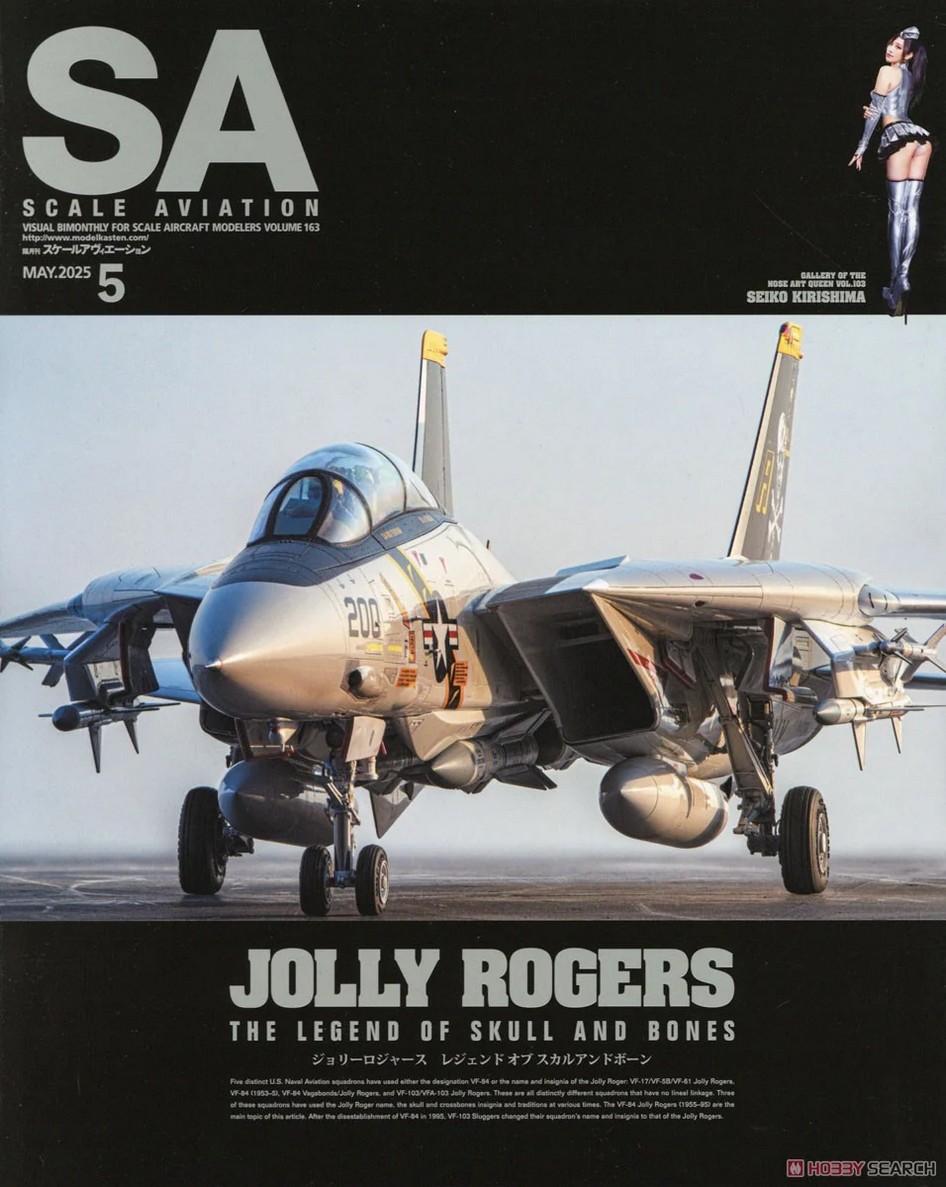 Scale Aviation