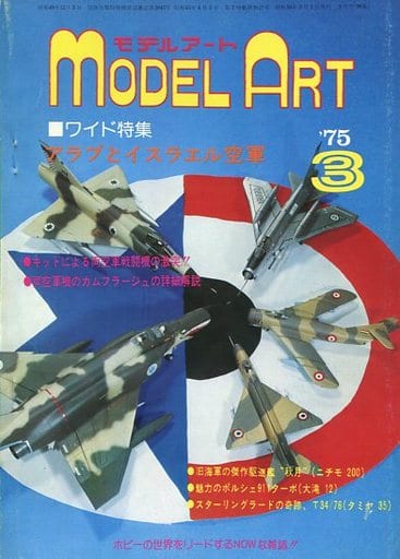 Model Art