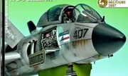 (Model Time 137)