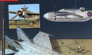 (Sky Model 25)