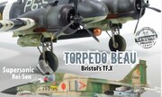 (Model Aircraft Monthly Vol 18 Iss 2)