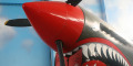 WarbirdsAMG