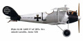 Model Club Wellington IPMS