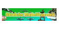 Strolchs Modellbauwelt