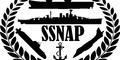 Ships, Submarines and Naval Air Power 