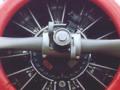North American T-6G Texan